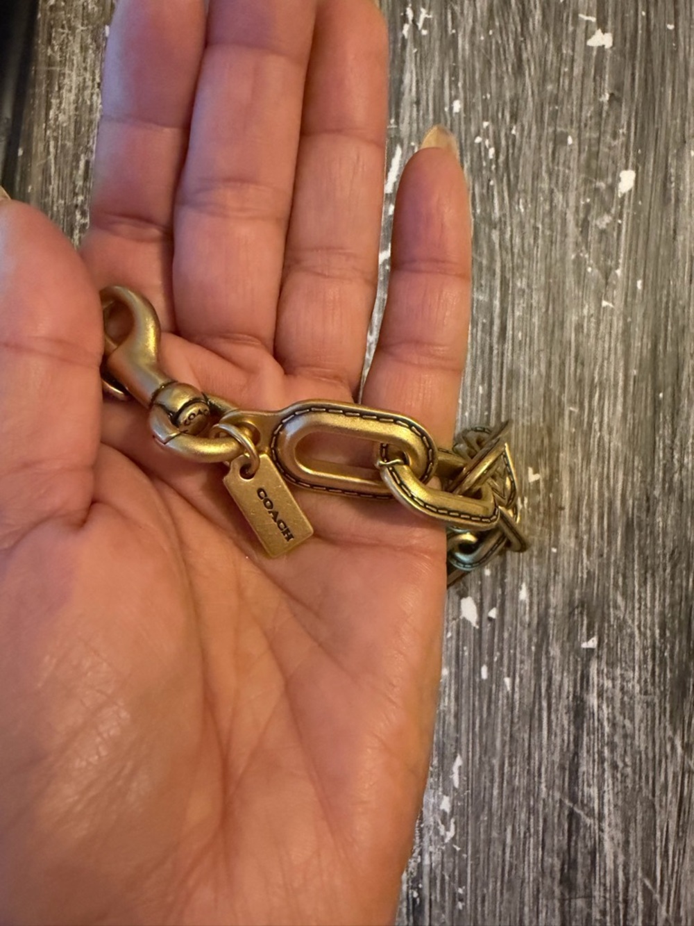 Coach link chain strap - Picture 3 of 5
